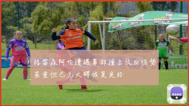 格雷森阿伦遭遇鼻部撞击流血伤势虽重但已无大碍恢复良好